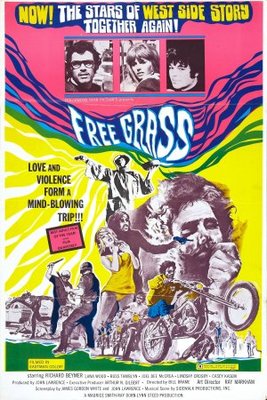 Scream Free! movie poster (1969) wood print