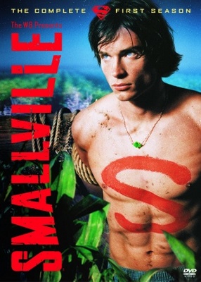 Smallville movie poster (2001) canvas poster