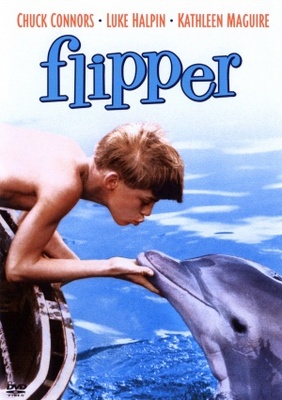 Flipper movie poster (1963) poster