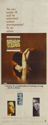 Splendor in the Grass movie poster (1961) wooden framed poster