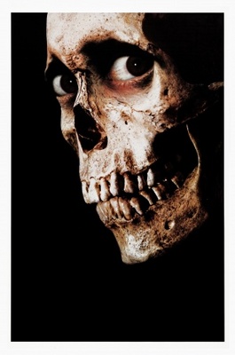 Evil Dead II movie poster (1987) canvas poster