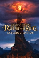 The Lord of the Rings: The Return of the King movie poster (2003) magic mug #MOV_c9b9902a