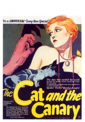 The Cat and the Canary movie poster (1927) poster