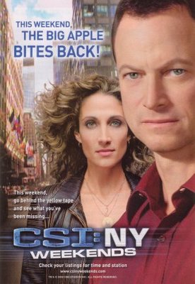 CSI: NY movie poster (2004) poster