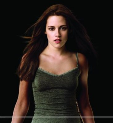 The Twilight Saga: New Moon movie poster (2009) canvas poster