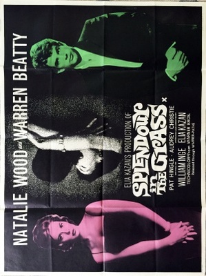 Splendor in the Grass movie poster (1961) wooden framed poster