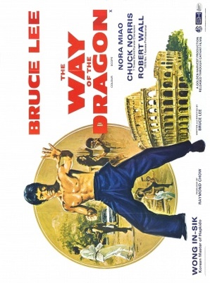 Meng long guo jiang movie poster (1972) canvas poster
