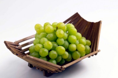 Grapes Stickers PH7530711