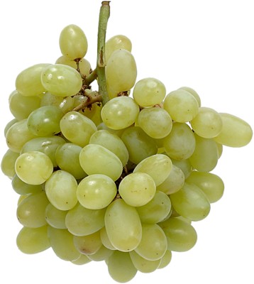 Grapes canvas poster